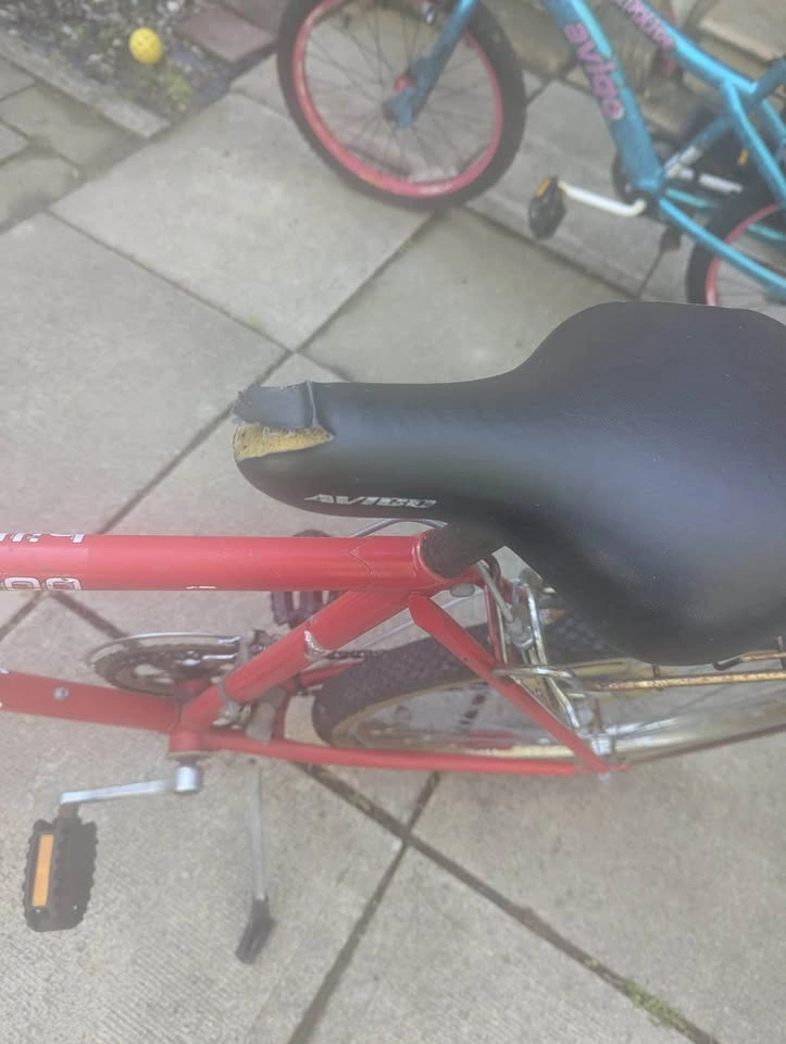 24” bike - photo 4