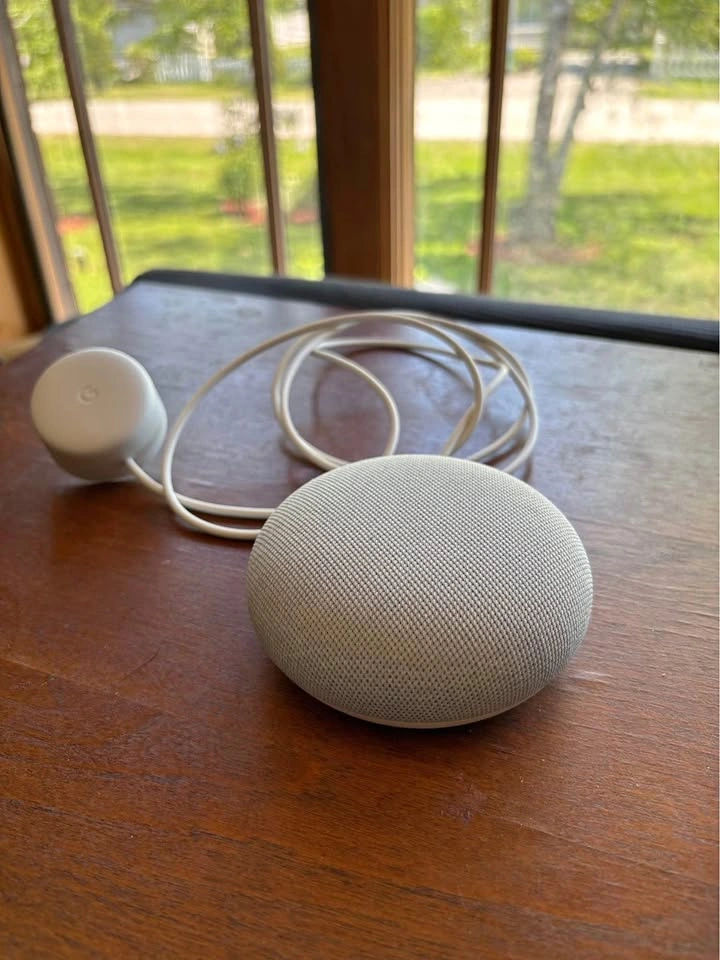 Google home mini