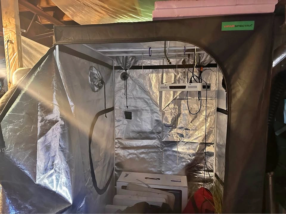 4x4 ViparSpectra Grow Tent + Philzon PH-G4000 LED Setup
