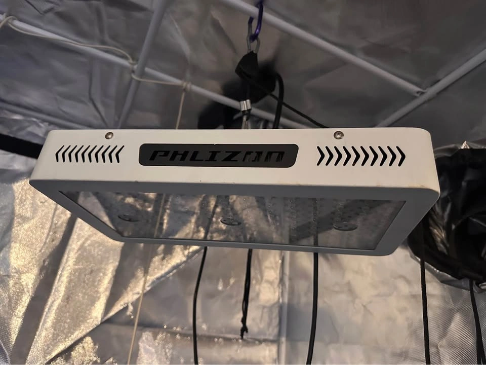 4x4 ViparSpectra Grow Tent + Philzon PH-G4000 LED Setup - photo 2