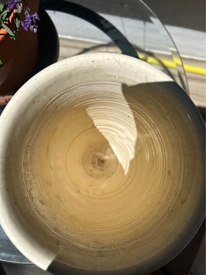 Pottery Vase with Dragonflies - photo 2