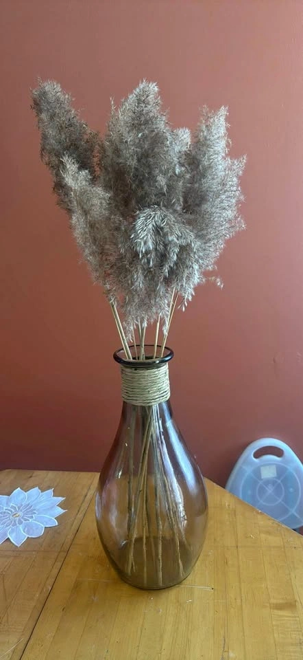 Vase with pampas