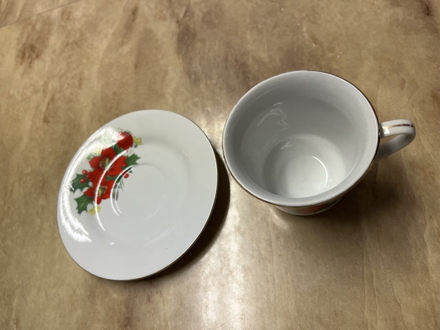 SP Cup and Saucer - photo 3
