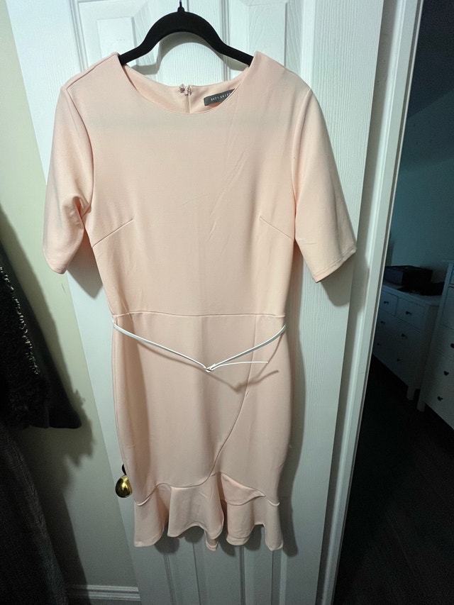 Suzy shier light pink dress, medium