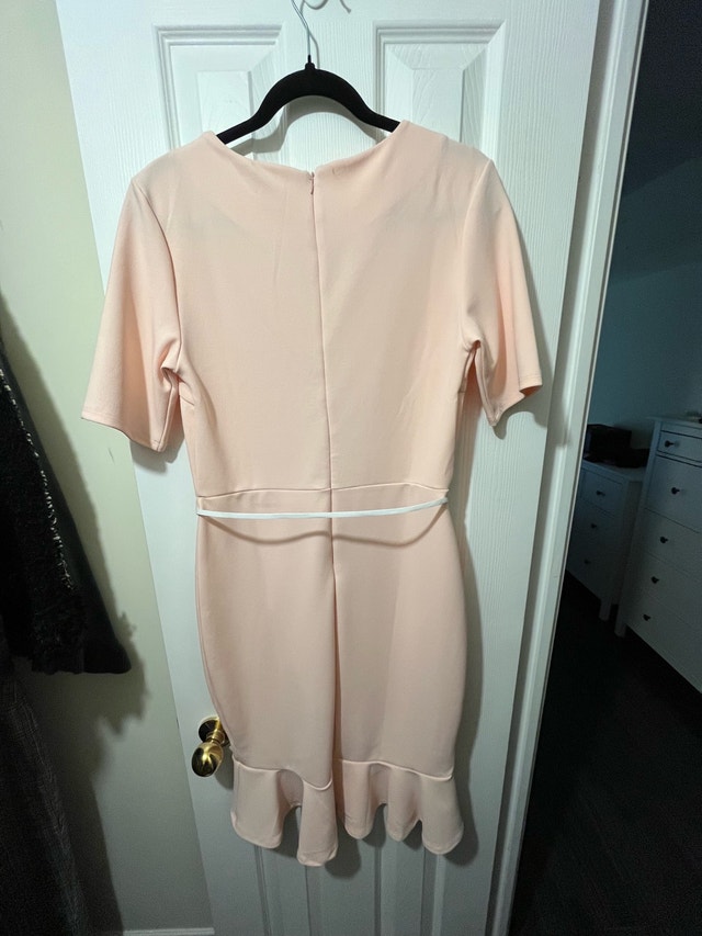 Suzy shier light pink dress, medium - photo 2