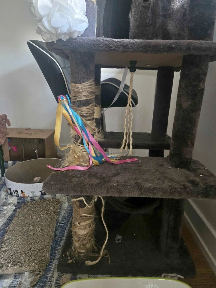 Cat tower