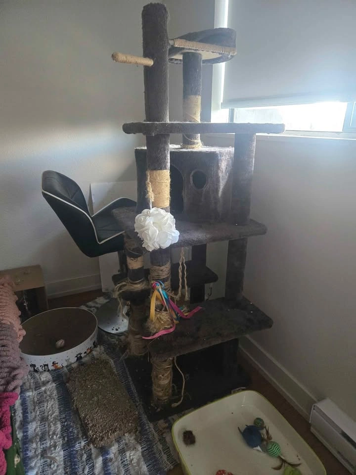 Cat tower - photo 3