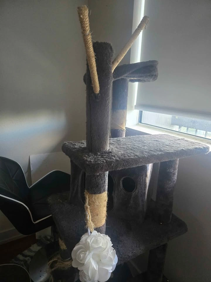 Cat tower - photo 4
