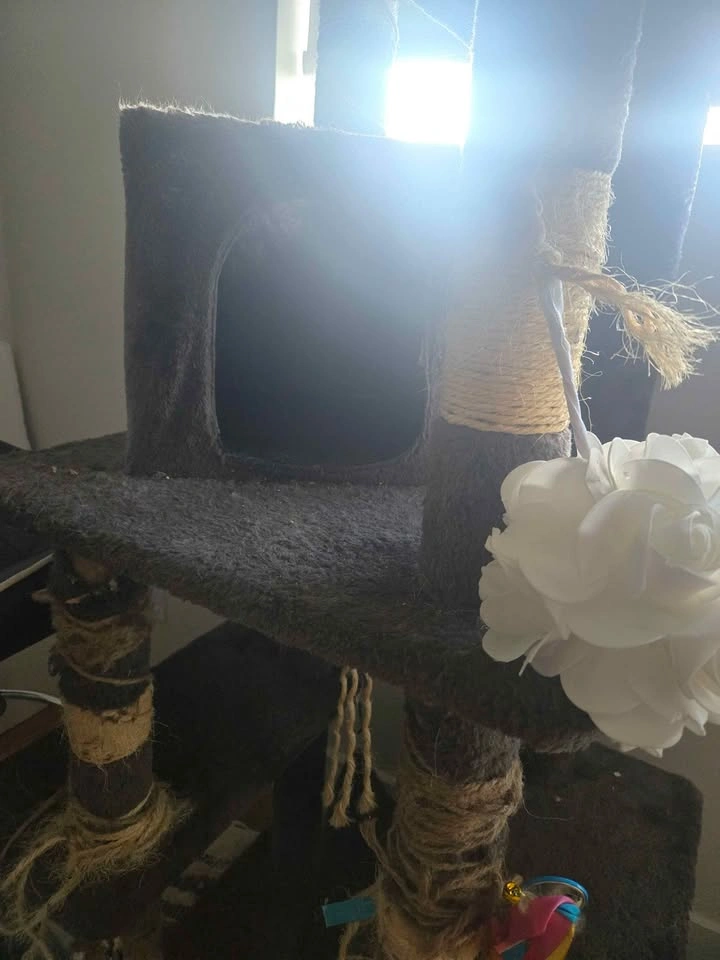 Cat tower - photo 5