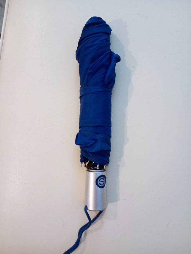 Automatic umbrella