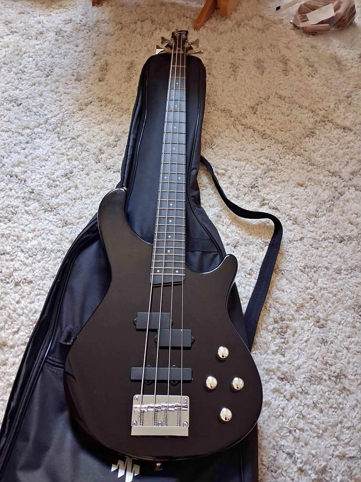 Donner DPJ-100 Electric Bass Guitar