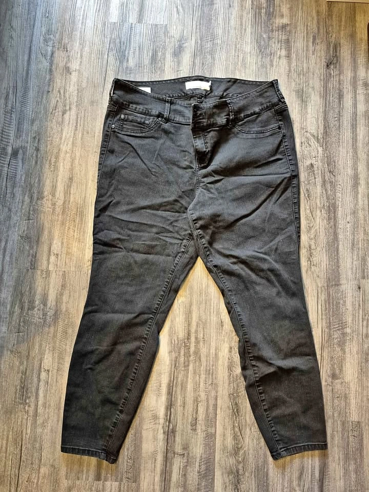 Size 22 Torrid Black Denim Jeggings and DC Jean Shorts