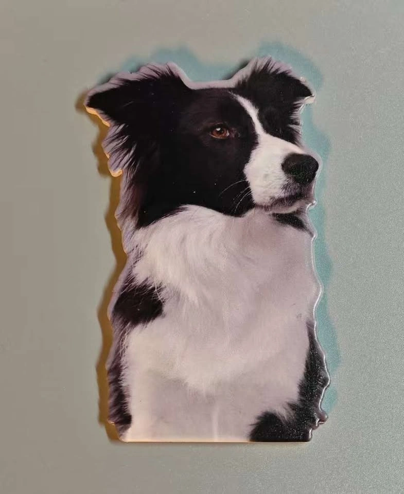 Custom Pet Photo Keychains & Fridge Magnets - photo 3