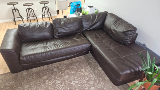 Large Sectional Couch w/ Chaise - Good Starter/Basement Couch