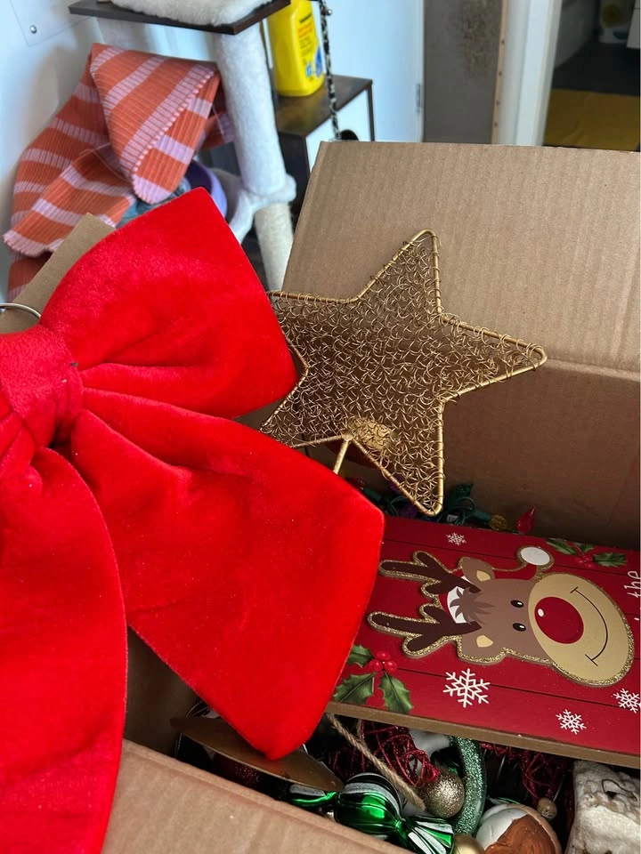 Christmas Decorations - photo 2
