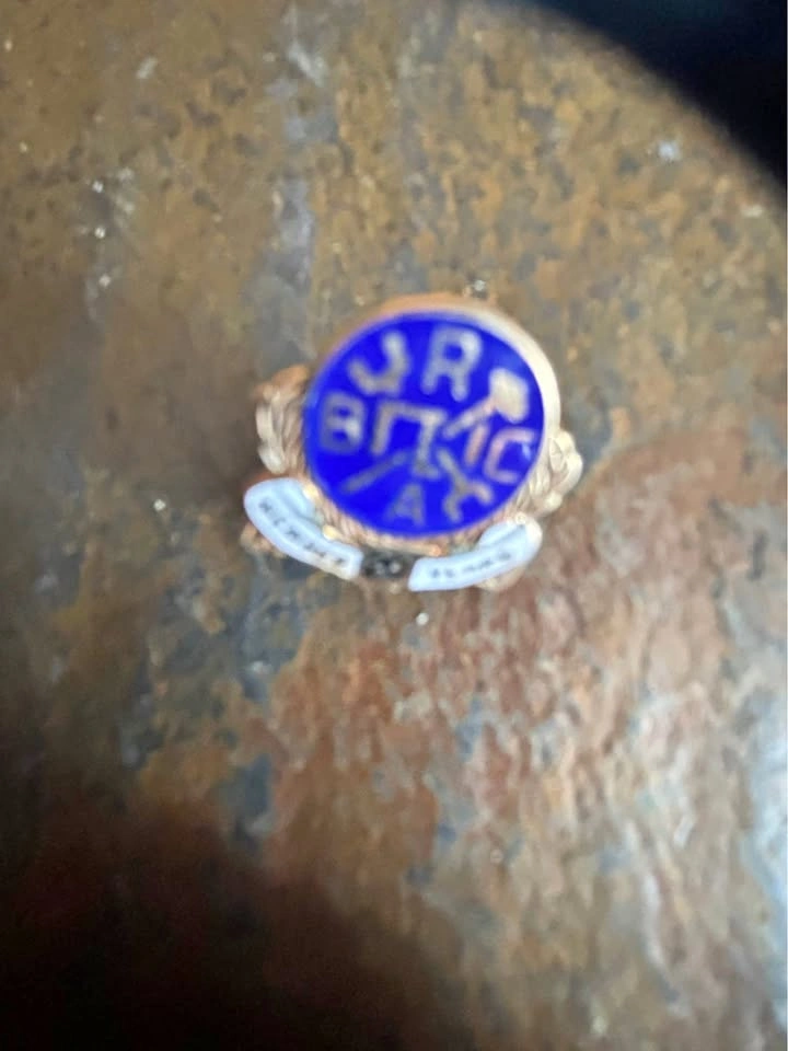Vintage Brotherhood Railway Carmen 20 Year Member Pin
