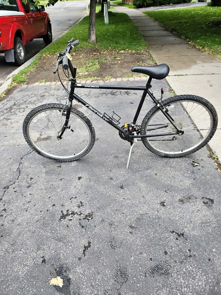 Norco Bushpilot black mountain bike