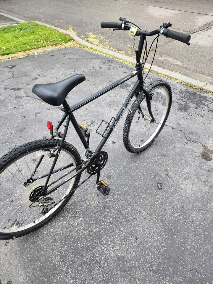 Norco Bushpilot black mountain bike - photo 2