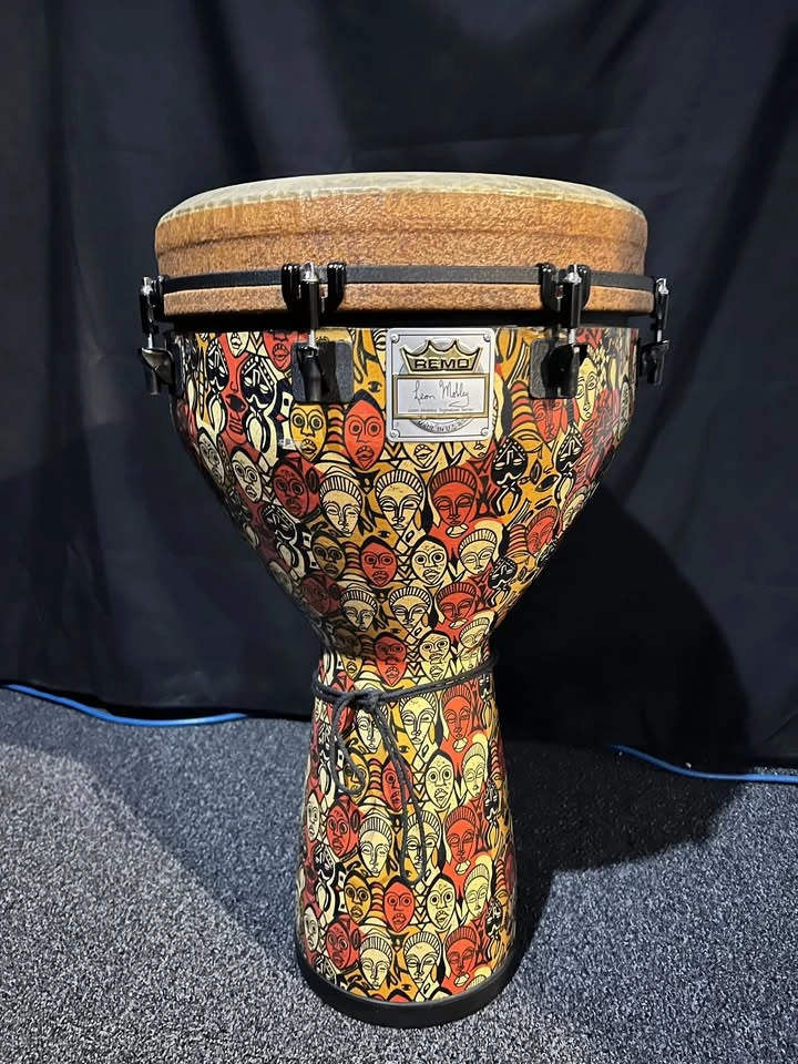 Djembe Drum - Remo Mondo 12" Key-Tuned – Leon Mobley Series - photo 2