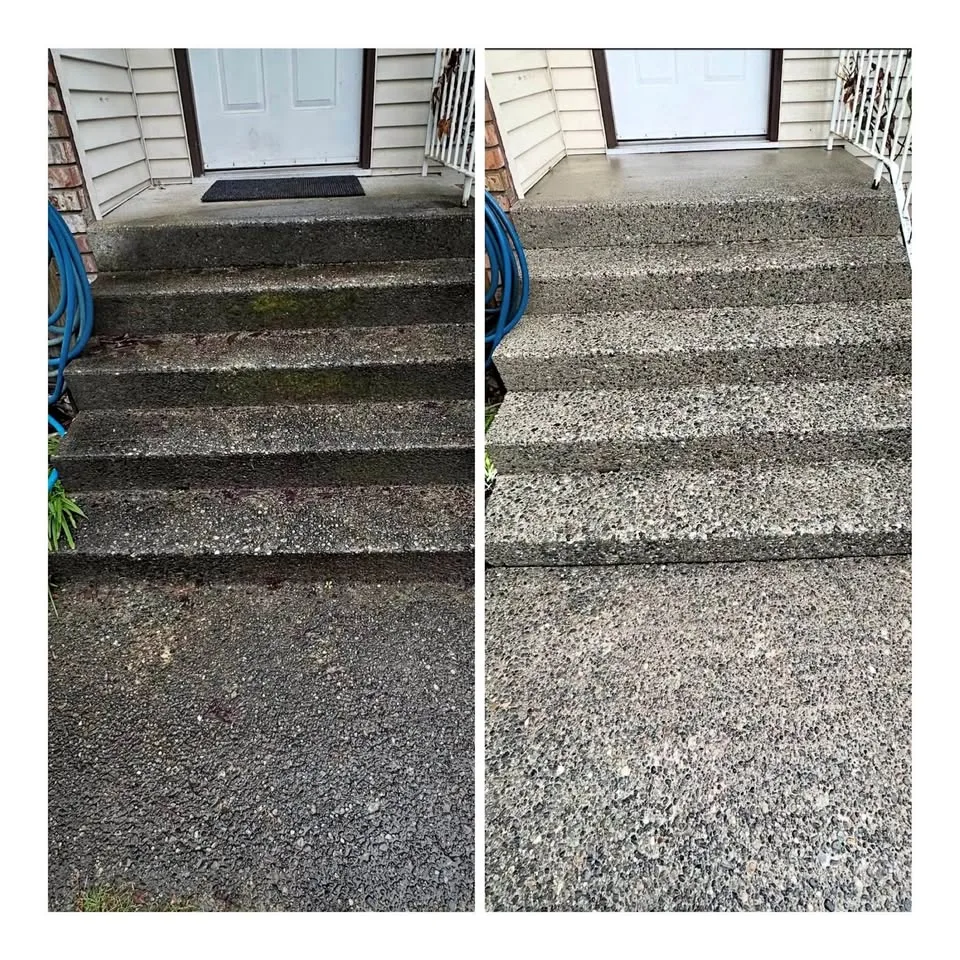 Professional Pressure Washing thumbnail