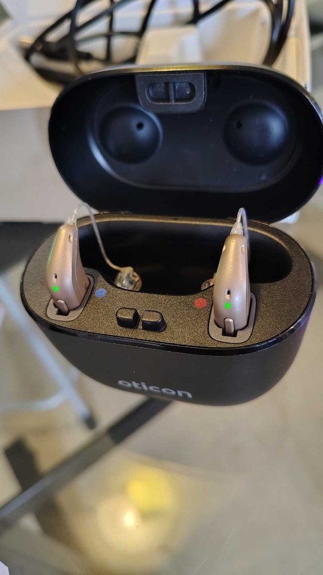 hearing aids - photo 5