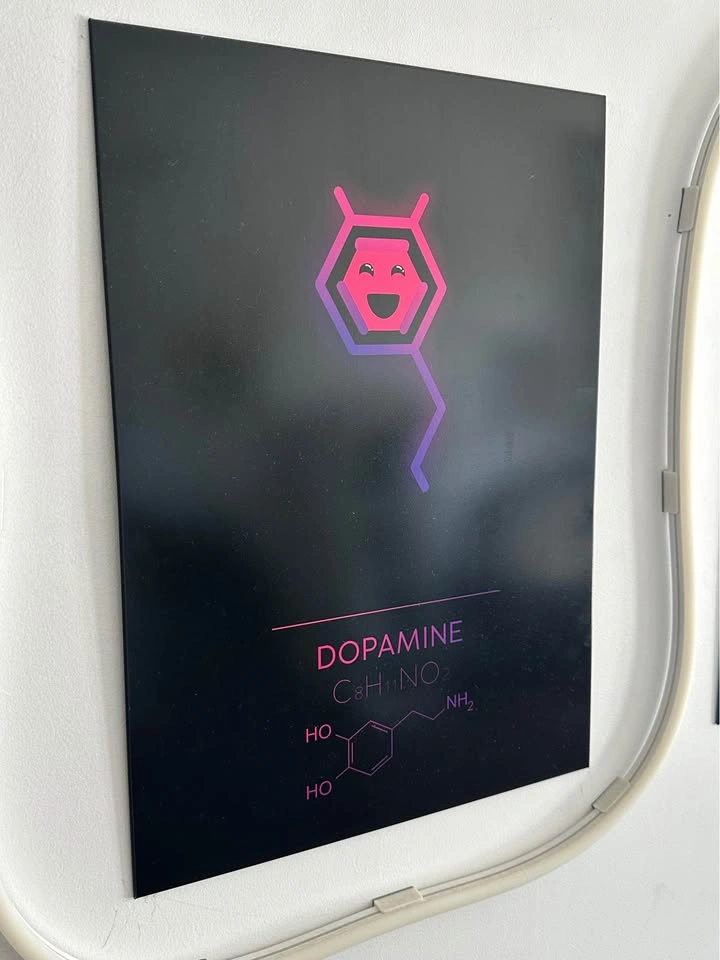 Displate Metal Posters – Serotonin, Dopamine & Bali Indonesia - photo 2