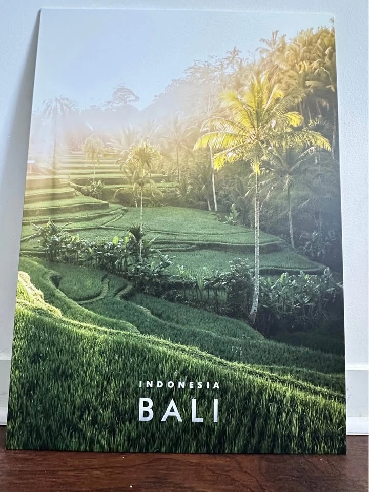 Displate Metal Posters – Serotonin, Dopamine & Bali Indonesia - photo 3