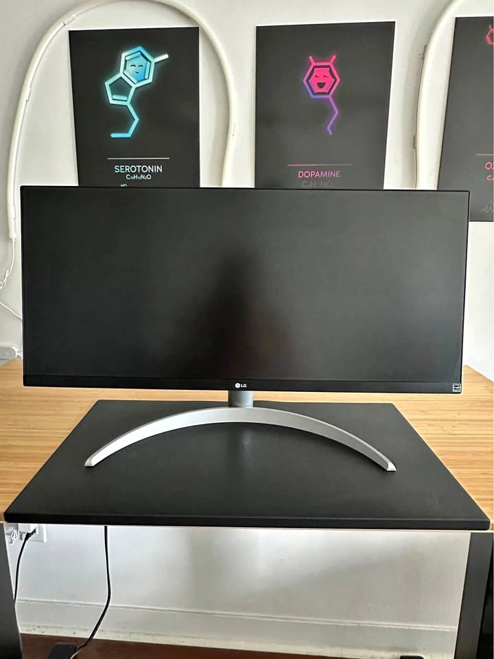 LG 29” UltraWide Monitor – 29WQ600-W – Excellent Condition