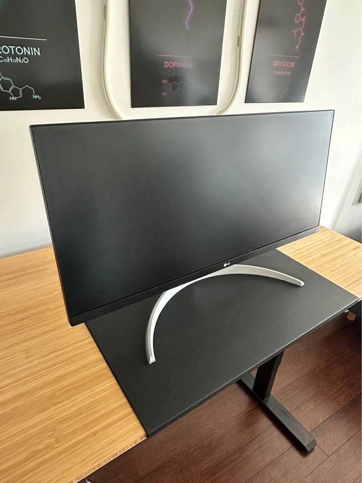 LG 29” UltraWide Monitor – 29WQ600-W – Excellent Condition - photo 3