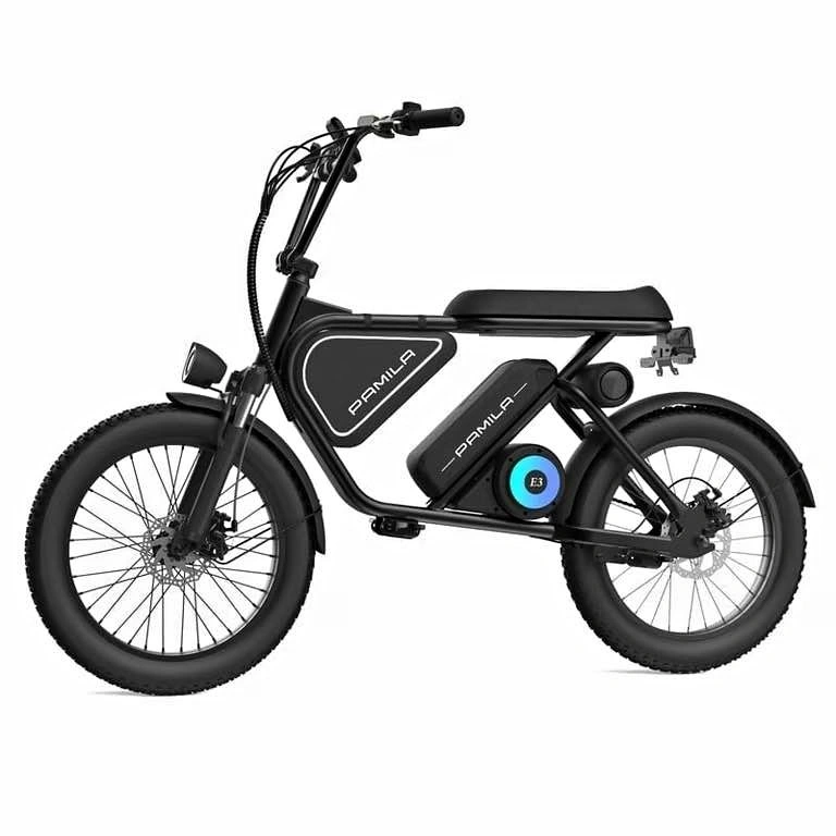 High Range/ High Speed E-Bike (1000W, 40km Speed, 80km Range)