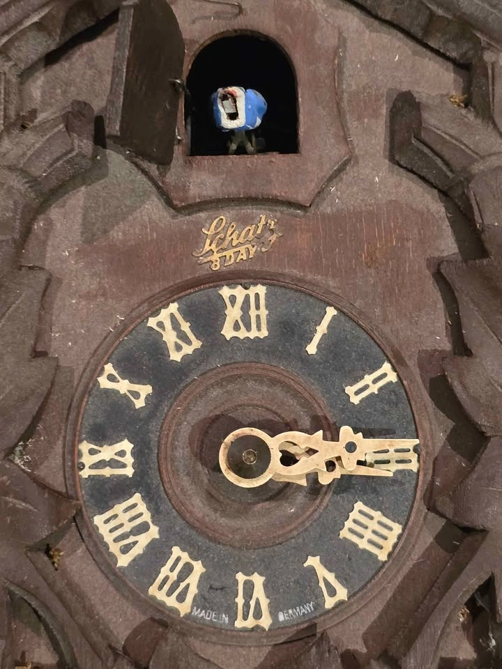 Vintage Schatz 8 Day German Cuckoo Clock For Repair - photo 2