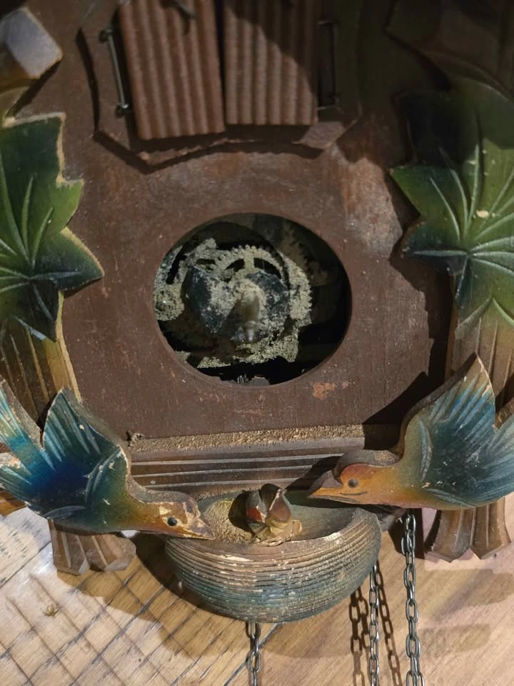 Vintage German Faust Walzer Musical Cuckoo Clock For Repair - photo 4