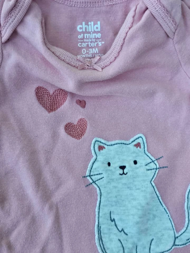 Carter’s Baby Girl NB 0-3M Clothes Bundle 4 Pc - photo 3