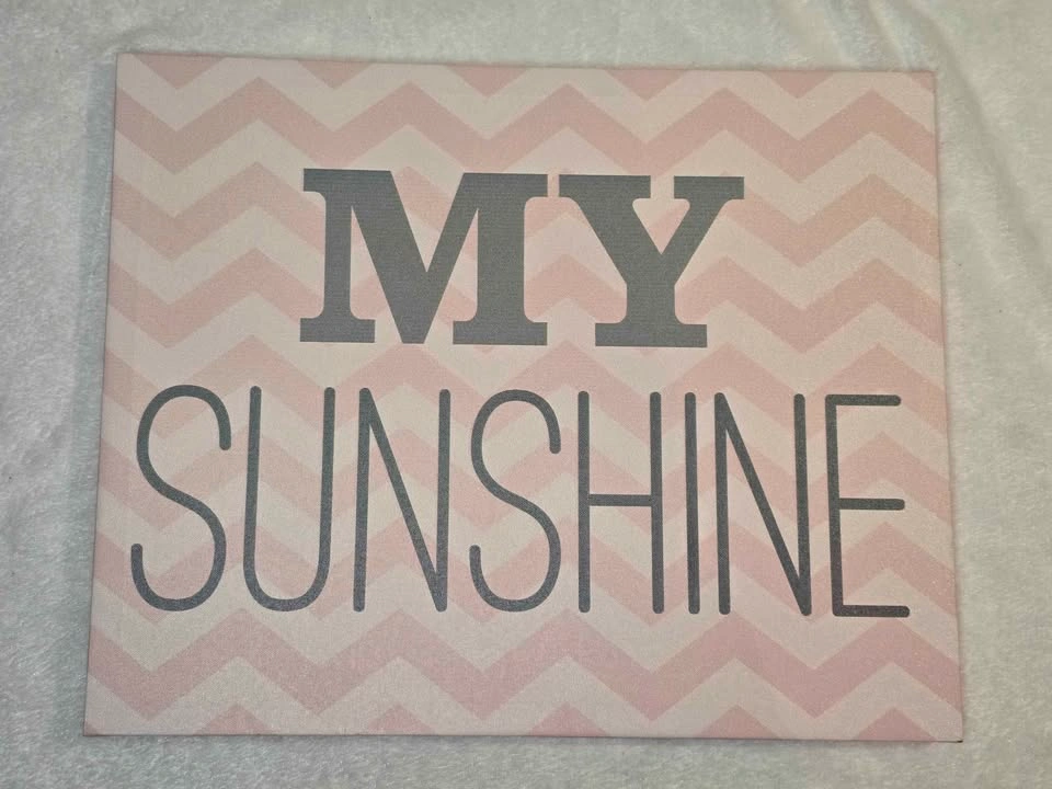 Pink My Sunshine Canvas Wall Art $10 Firm - photo 2