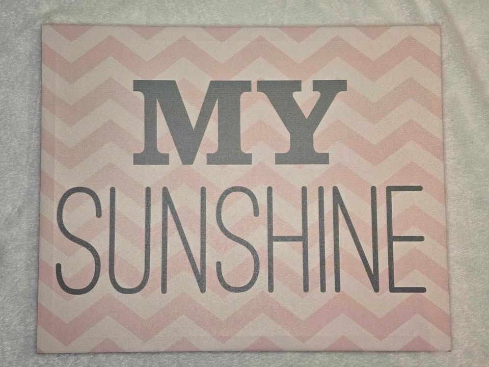 Pink My Sunshine Canvas Wall Art $10 Firm - photo 3