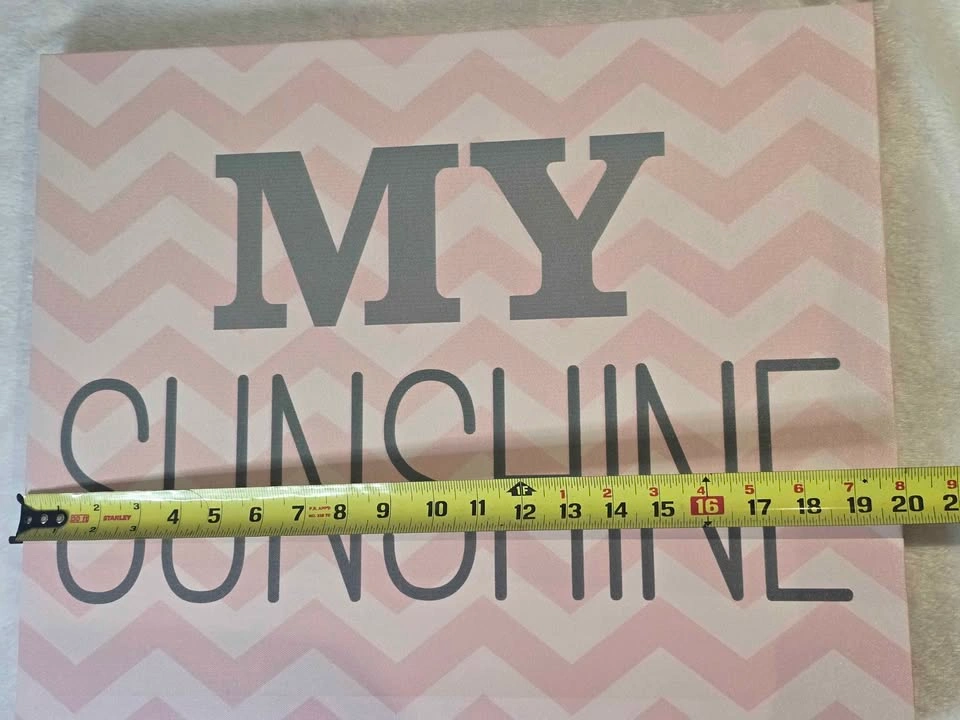 Pink My Sunshine Canvas Wall Art $10 Firm - photo 4