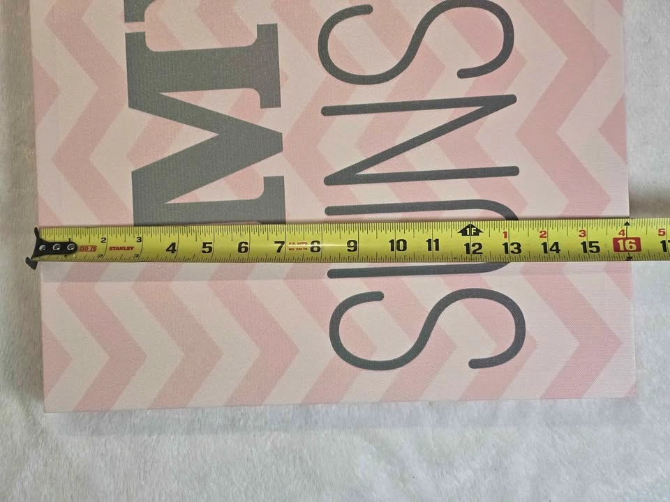 Pink My Sunshine Canvas Wall Art $10 Firm - photo 5