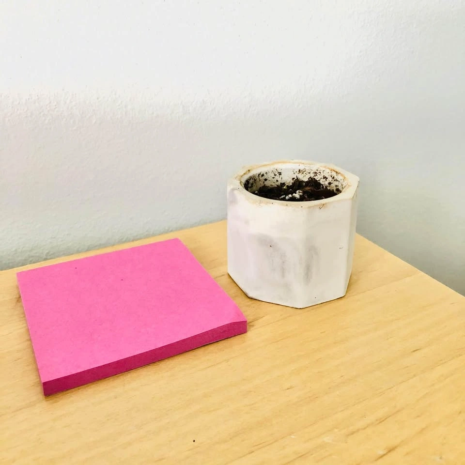 Concrete Cactus or Succulent Planter ⚽️ - photo 2