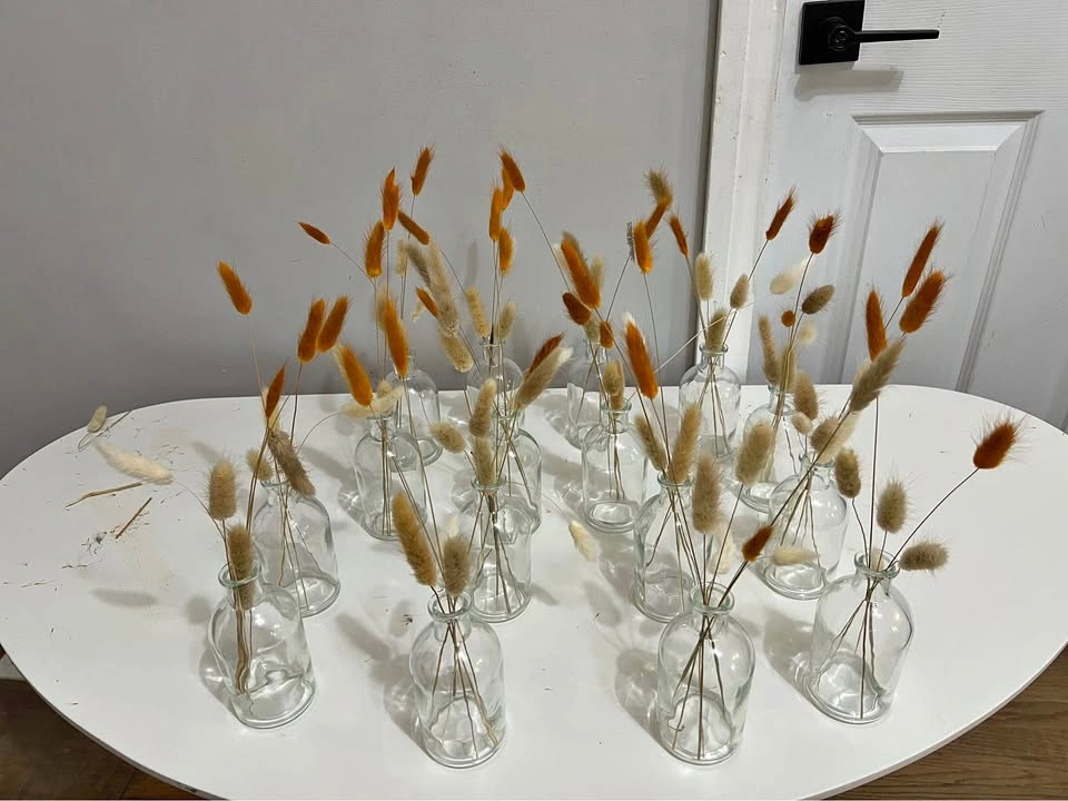 ⚽ 16 small Vases with Dry Bunny tail grass- New