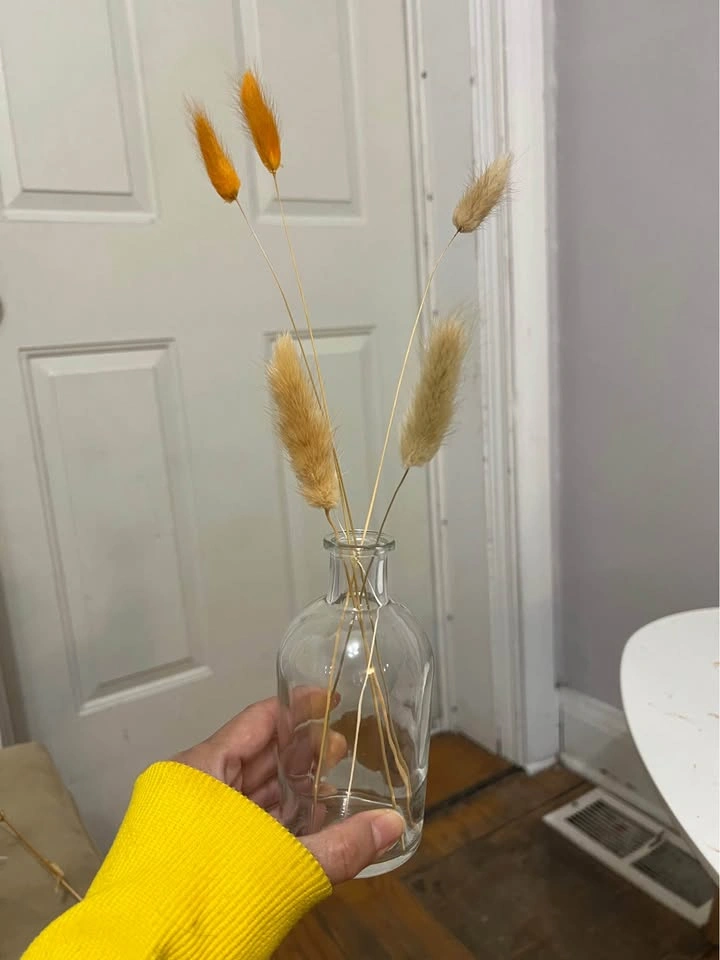 ⚽ 16 small Vases with Dry Bunny tail grass- New - photo 2