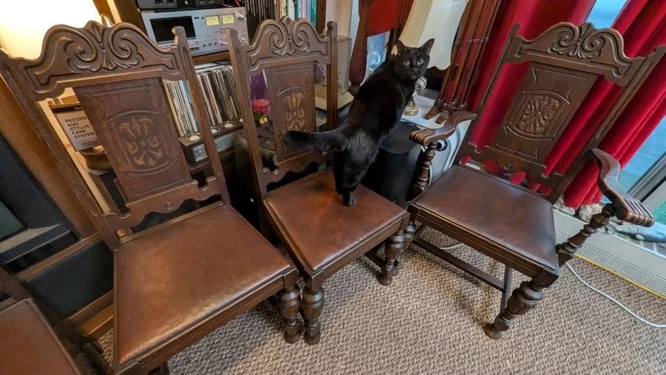 Set of 6 Antique Oak Dining Chairs, one with arms - photo 3