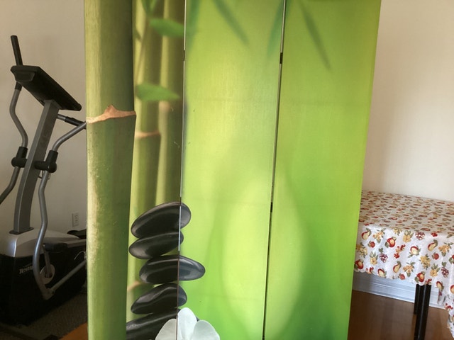 Room divider, size 71 inches by 48 inches - photo 3