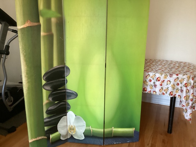Room divider, size 71 inches by 48 inches - photo 4