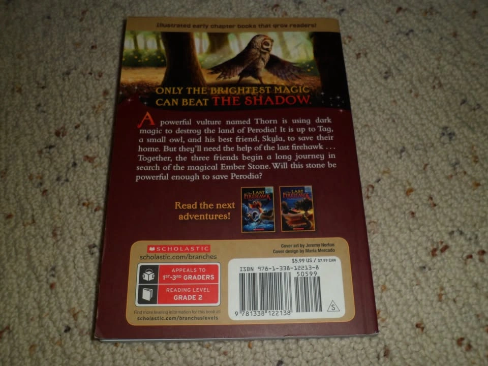 The Ember Stone: A Branches Book The Last Firehawk #1 paperback - photo 2