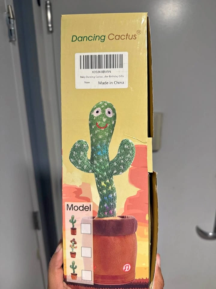 Dancing Cactus Talking & Singing Plush Toy – Interactive Kids To