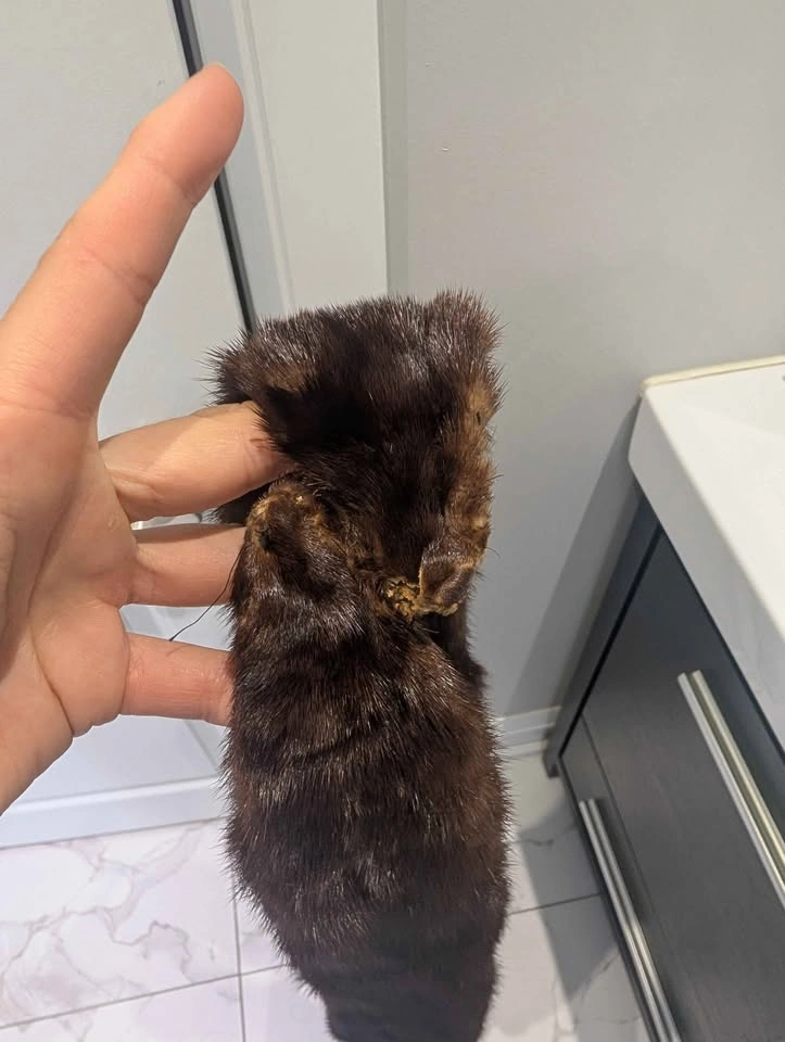 Real Mink Fur Scarf - photo 4
