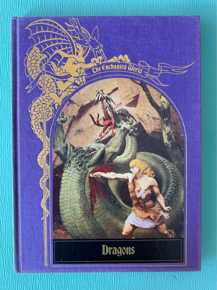 The Enchanted World Hardcover Book Collection – 10 Volumes - photo 4