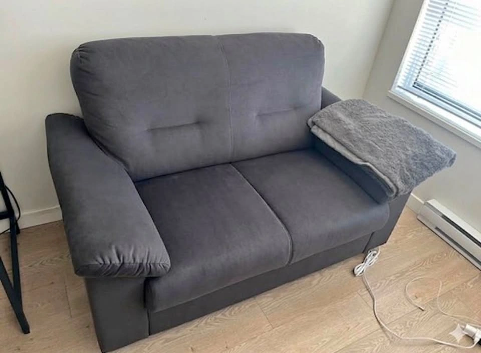 Love seat sofa