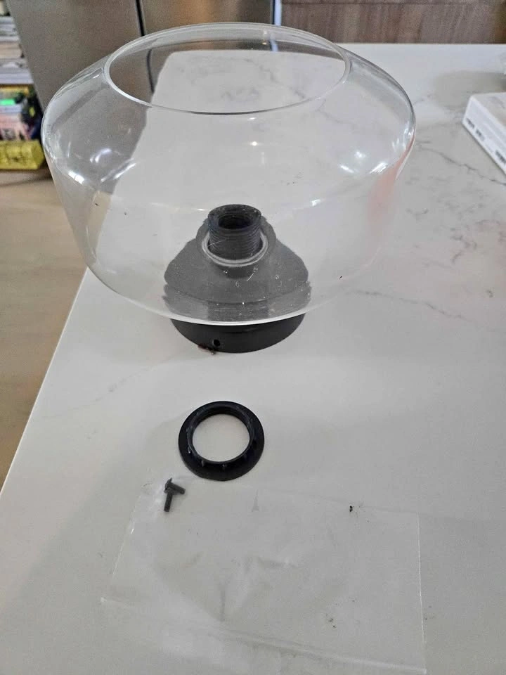 Clear Glass Globe Flush Mount Light Fixture
