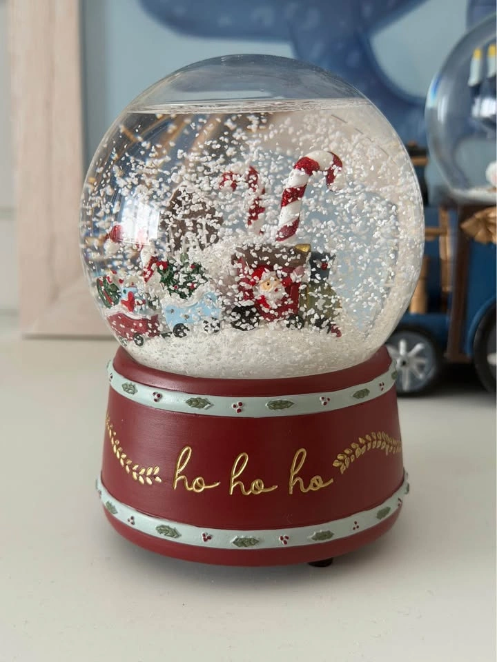 Snow Globe - photo 2